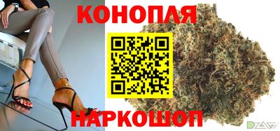 соль ск Будённовск