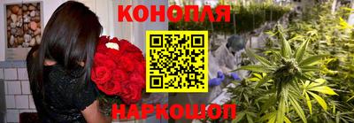 соль ск Будённовск